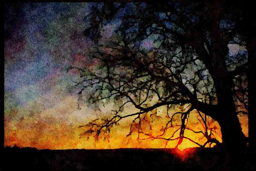 Sunrise Sunset Sky 001058 Small Yellow Sunset Through Small Branches A4 Limited Edition Watercolour Print
