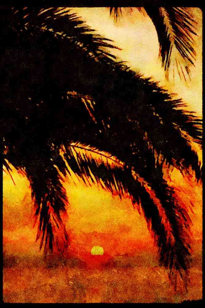 Sunrise Sunset Sky 001061 Palm Tree Framing Sunset A4 Limited Edition Watercolour Print