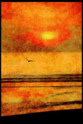 Sunrise Sunset Sky 001071 Sun Through Clouds With Single Gull A4 Limited Edition Watercolour Print