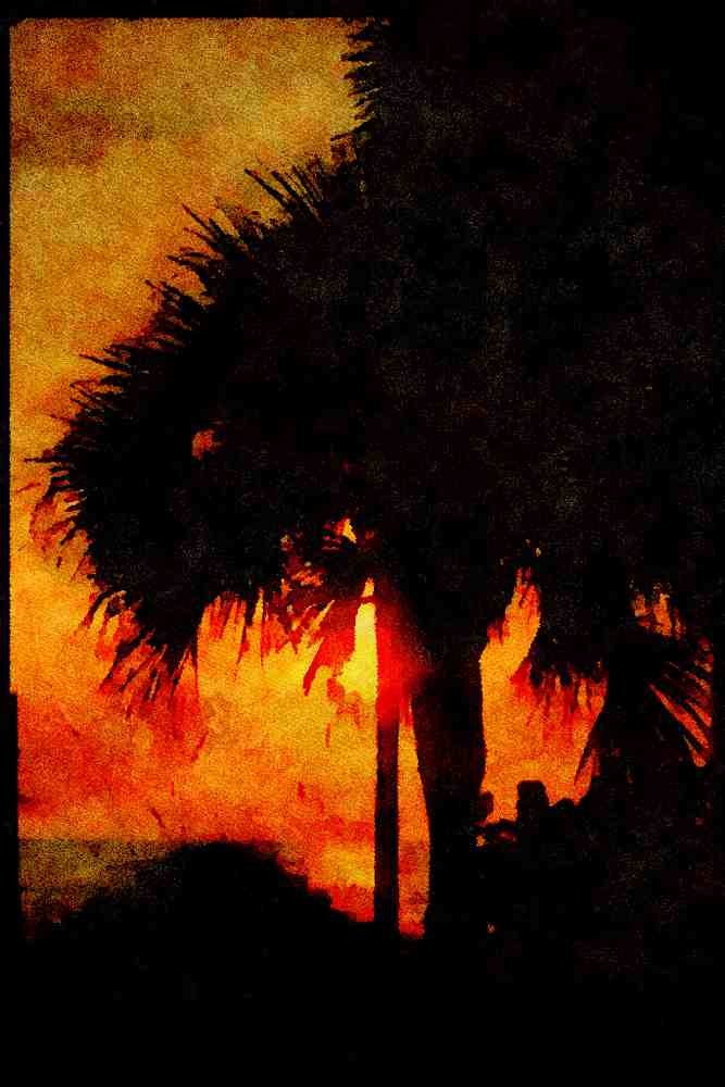 Sunrise Sunset Sky 001089 Palm Trees With Reflected Sunset A4 Limited Edition Watercolour Print