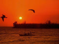 Sunset Fishing Birds A4 Photo Print