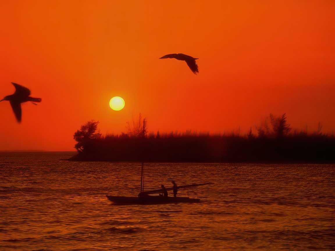 Sunset Fishing Birds A4 Photo Print