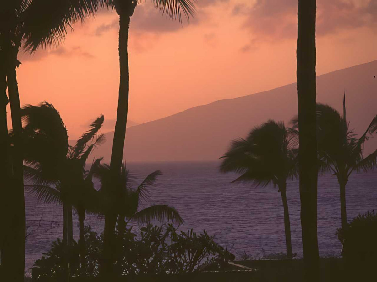 Sunset Silhouette Maui A4 Photo Print