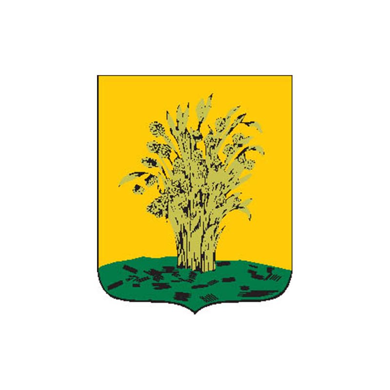 Surazh1782 City Coat Of Arms N6832 A4 Photo Print