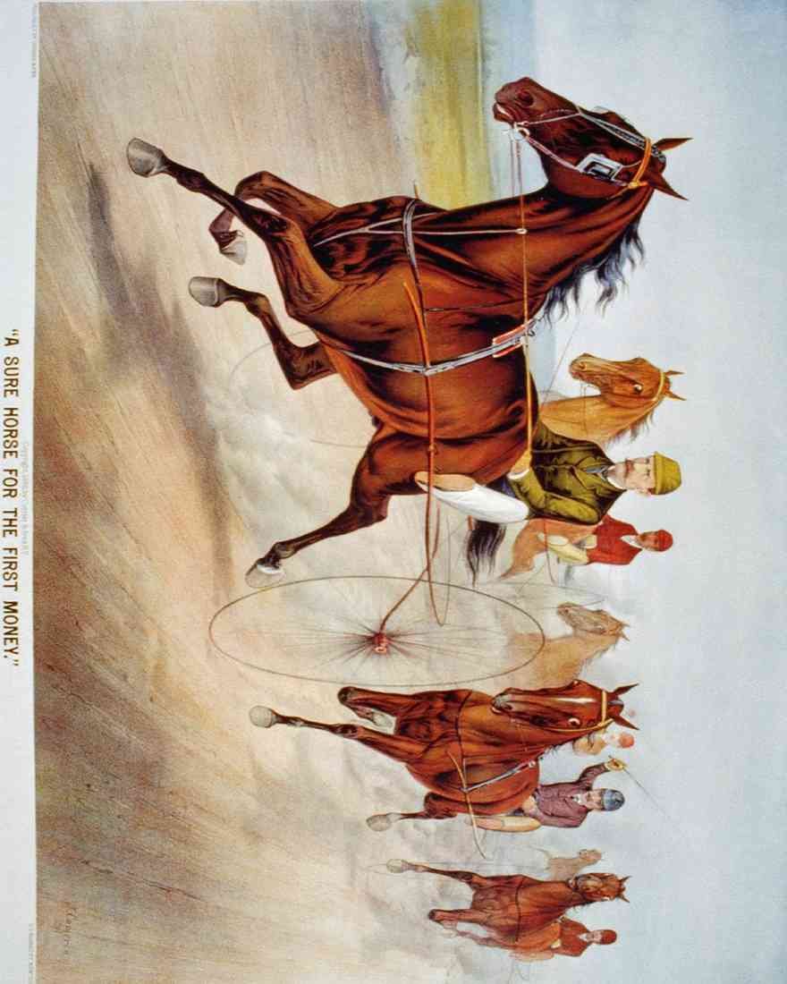 Sure Horse Horse A4 Photo Print