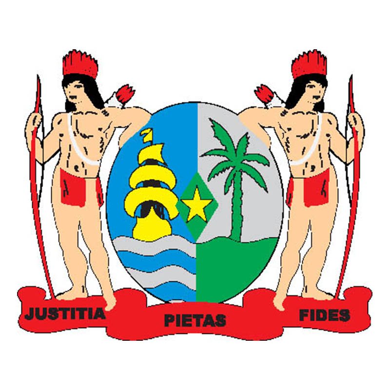Suriname Coat Of Arms N3987 A4 Photo Print