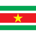 Suriname Flag N1829 A4 Photo Print