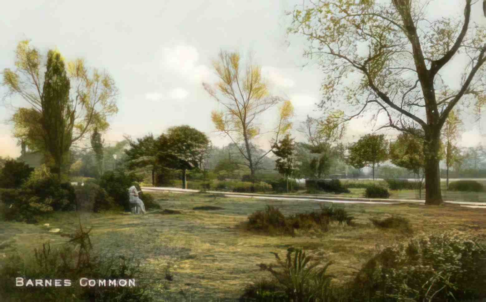 Surrey Barnes Barnes Common II Vintage A4 Photo Print
