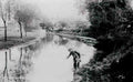 Surrey Beddington with Waddon Mill in the background c1904 Vintage A4 Photo Print