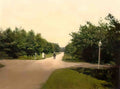 Surrey Camberley Bagshot Road Vintage A4 Photo Print