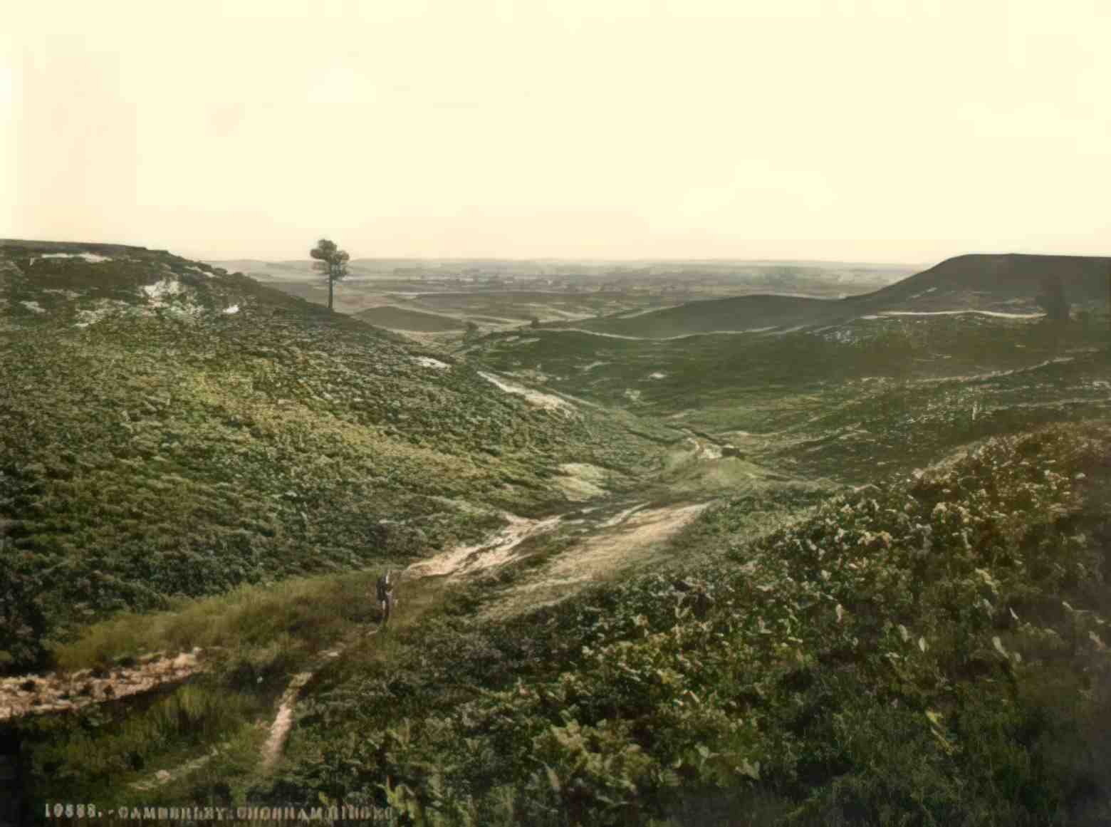 Surrey Camberley Chobham Ridges Vintage A4 Photo Print