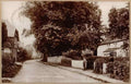 Surrey England11727 Vintage A4 Photo Print