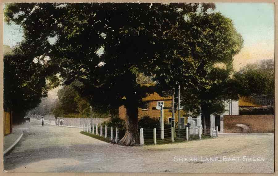 Surrey England12133 Vintage A4 Photo Print