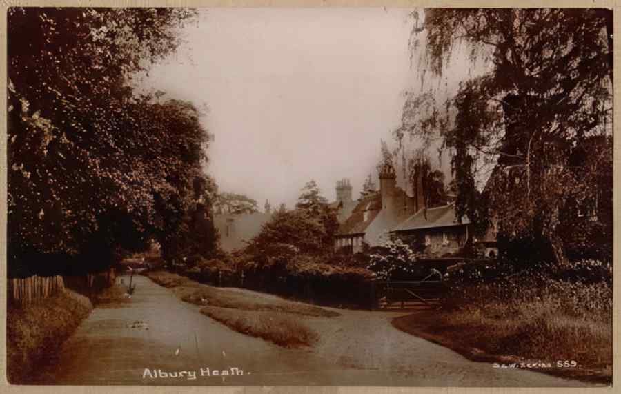 Surrey England13856 Vintage A4 Photo Print