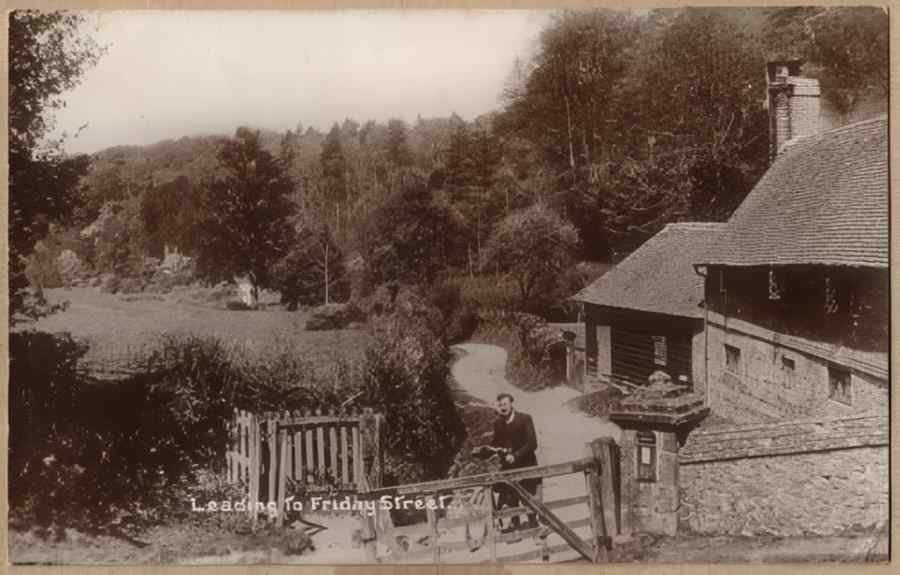Surrey England14517 Vintage A4 Photo Print