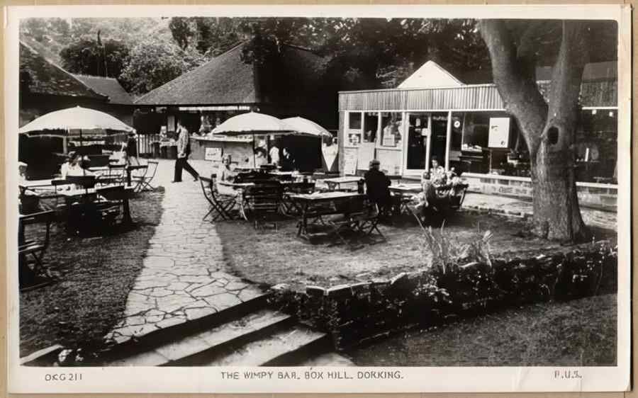 Surrey England16314 Vintage A4 Photo Print