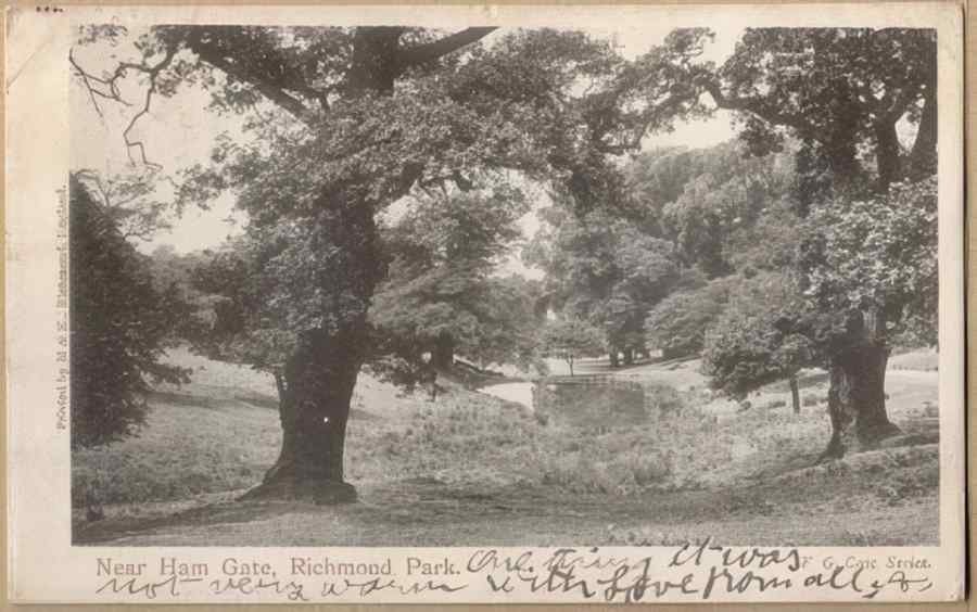Surrey England16332 Vintage A4 Photo Print