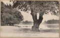 Surrey England17601 Vintage A4 Photo Print