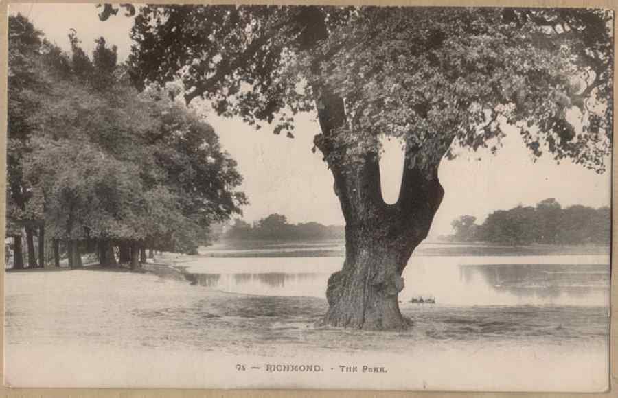 Surrey England17601 Vintage A4 Photo Print