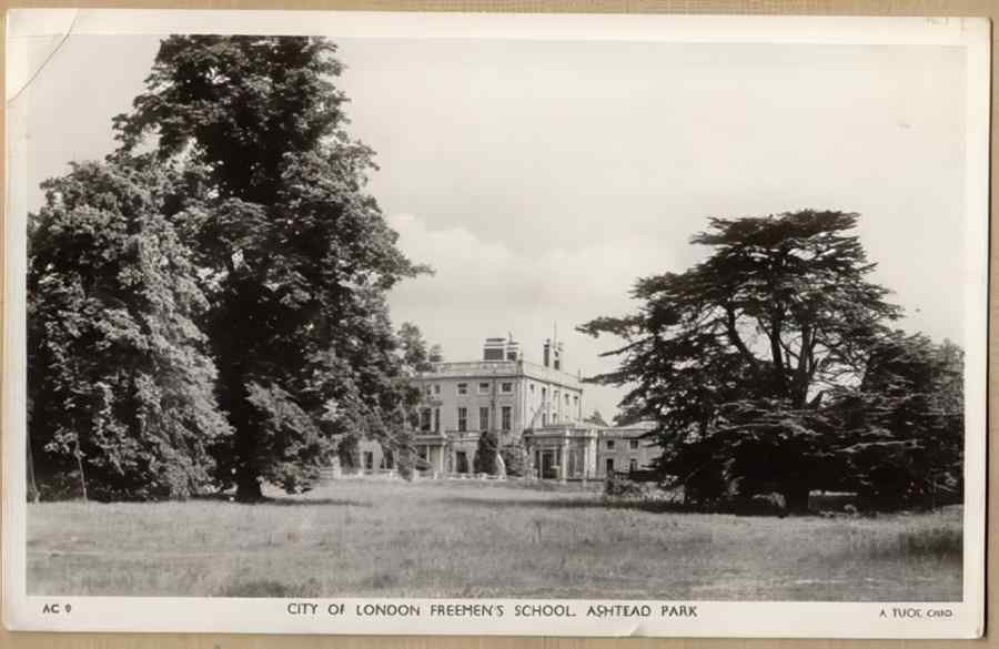 Surrey England18395 Vintage A4 Photo Print