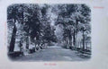 Surrey Richmond The Terrace Vintage A4 Photo Print