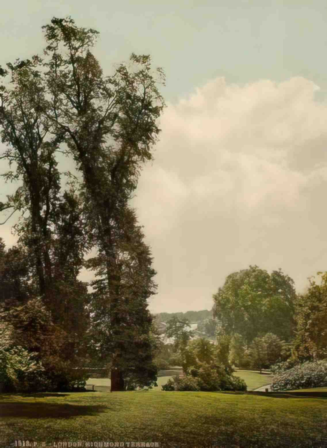 Surrey Richmond upon Thames Terrace Vintage A4 Photo Print