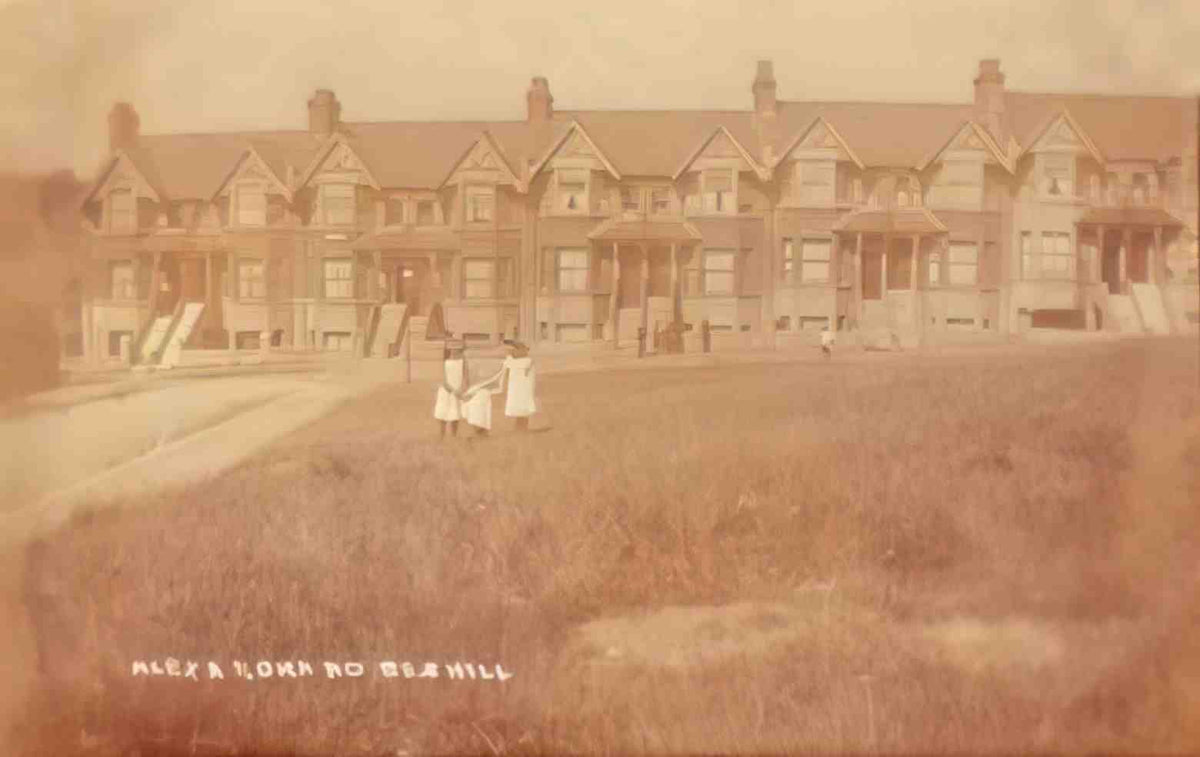 Sussex Bexhill Alexandra Road PH Vintage A4 Photo Print