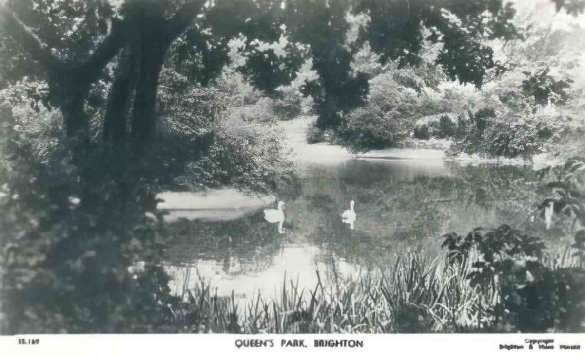 Sussex Brighton Queens Park 1960s Vintage A4 Photo Print