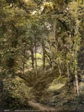 Sussex Hastings Fairlight Glen Vintage A4 Photo Print