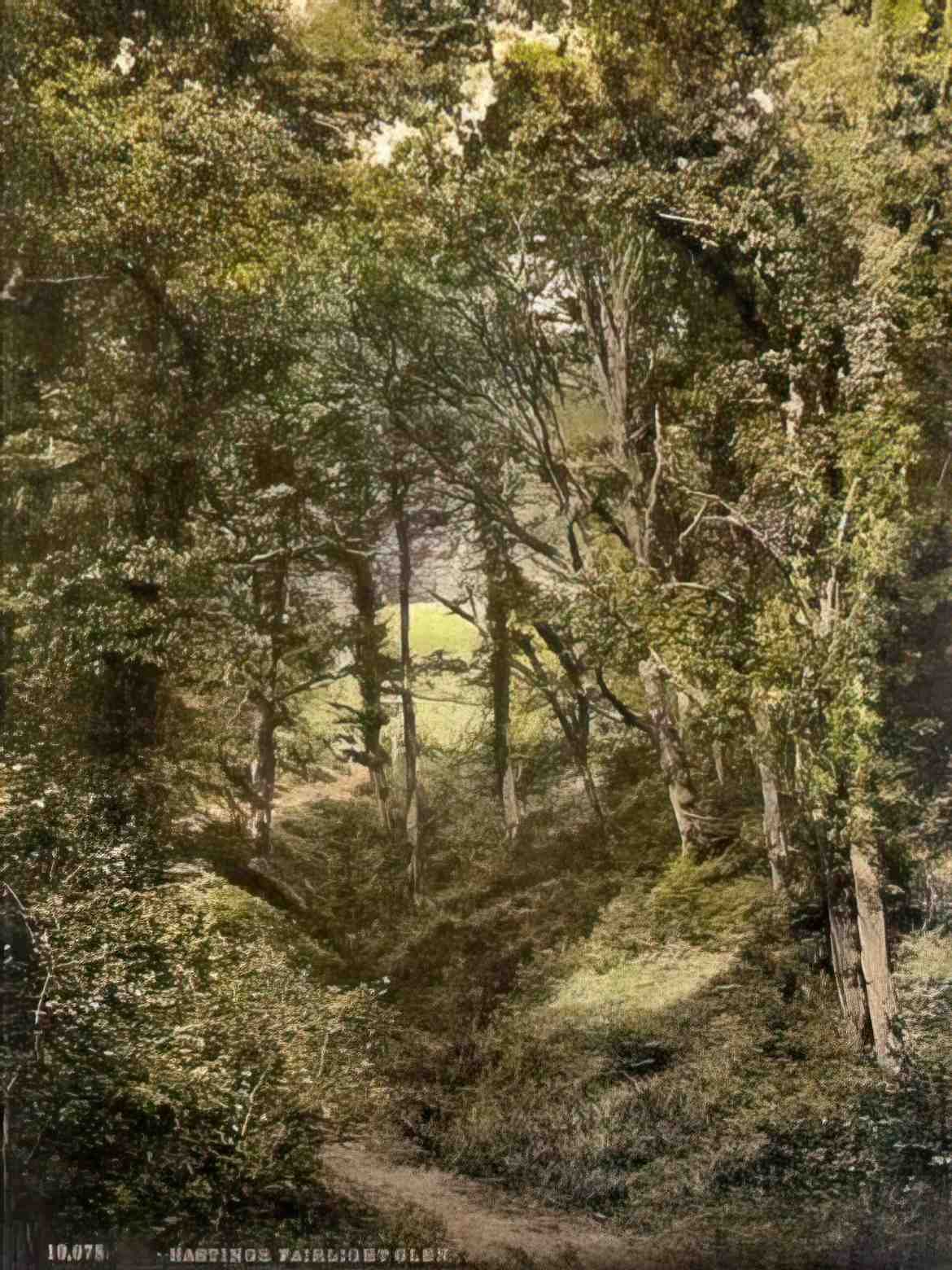 Sussex Hastings Fairlight Glen Vintage A4 Photo Print