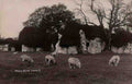 Sussex Lewes Priory Ruins 1910s Vintage A4 Photo Print