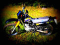Suzuki AN 125 1997 1 motorbike A4 Photo Print