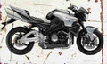 Suzuki B King1300 2008 Aged Vintage A4 Photo Print