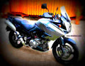 Suzuki DL 1000 V Strom 2007 2 motorbike A4 Photo Print
