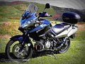 Suzuki DL 1000 V Strom 2009 2 motorbike A4 Photo Print