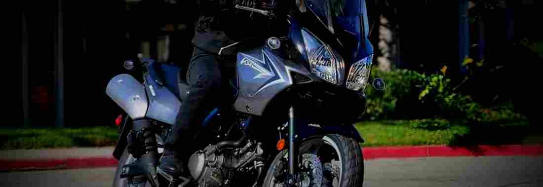 Suzuki DL 650 ABS V Strom 650 ABS 1 825x284 motorbike A4 Photo Print