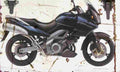 Suzuki DL1000 V Strom 2002 Aged Vintage A4 Photo Print