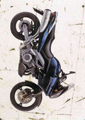 Suzuki DL1000 V Strom 2002 aged A4 Photo Print