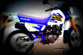 Suzuki DR 125 SE 2000 3 motorbike A4 Photo Print