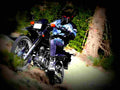 Suzuki DR 200 SE 2009 5 motorbike A4 Photo Print