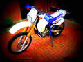 Suzuki DR 350 SE 1996 2 motorbike A4 Photo Print