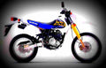 Suzuki DR 350 SE 1999 6 motorbike A4 Photo Print