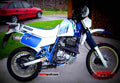 Suzuki DR 600 R Dakar 1986 1 motorbike A4 Photo Print