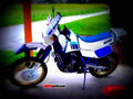 Suzuki DR 600 R Dakar 1986 4 motorbike A4 Photo Print