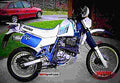 Suzuki DR 600 R Dakar 1988 5 motorbike A4 Photo Print