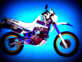 Suzuki DR 600 R Dakar 1989 2 motorbike A4 Photo Print