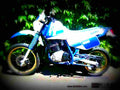 Suzuki DR 600 R Dakar 1989 5 motorbike A4 Photo Print