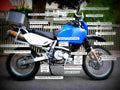 Suzuki DR 600 R Dakar (reduced effect) 1989 1 motorbike A4 Photo Print