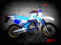 Suzuki DR 600 R Dakar (reduced effect) 1989 5 motorbike A4 Photo Print