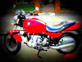 Suzuki DR 600 R Dakar (reduced effect) 1989 6 motorbike A4 Photo Print